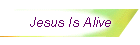 Jesus Is Alive