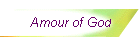 Amour of God